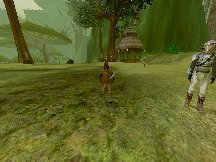 Rrrabacci Hero of Kerritamba